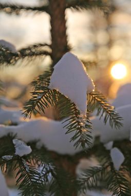 Wir w&uuml;nschen Ihnen alles Gute im Neuen Jahr